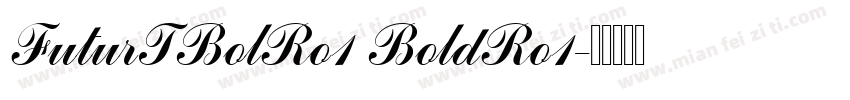 FuturTBolRo1 BoldRo1字体转换